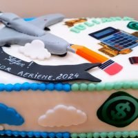 Tort Drona aviatie si contabilitate