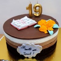 Tort mouse ciocolata