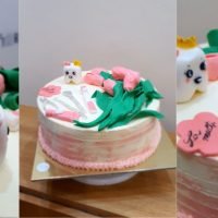 Tort stomatolog , maseluta ,