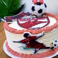 Tort fan Dinamo , Cainii rosii , minge fotbal si jucator dinamovist