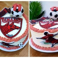 Tort fan Dinamo , Cainii rosii , minge fotbal si jucator dinamovist