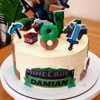 Tort Minecraft pentru Damian cu spada , TnT , tarnacop , Si cu Alex , Steve si Creeper